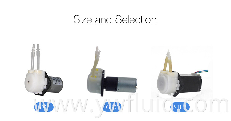 High quality Changzhou 24/12v mini fluid pump with silicone tube